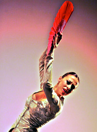Festival Flamenco à Nîmes