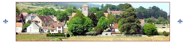 Village of Gevrey-Chambertin , France